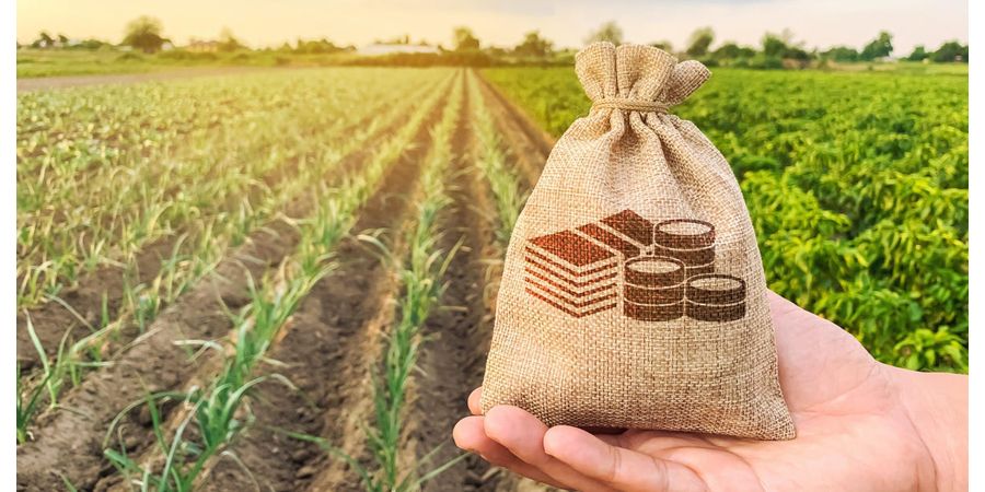 Reap Tax Rewards from Securities Harvest This Fall